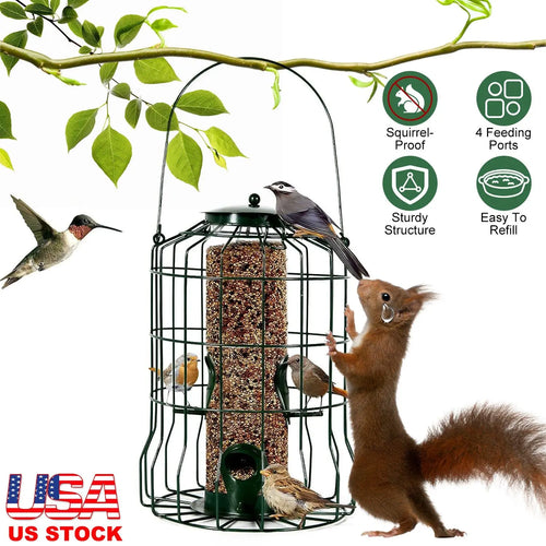 Squirrel-Proof Heavy-Duty Metal Bird Feeder โ 4 Feeding Ports for Songbirds