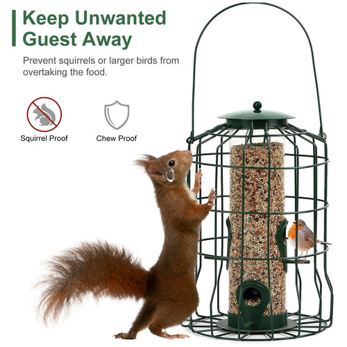 Squirrel-Proof Heavy-Duty Metal Bird Feeder โ 4 Feeding Ports for Songbirds