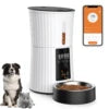 SmartPort Pet Feeder with LCD Display