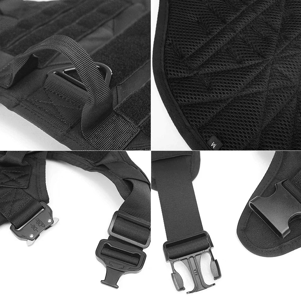 Dog Chest Harness & Leash Set with Lace Accent
