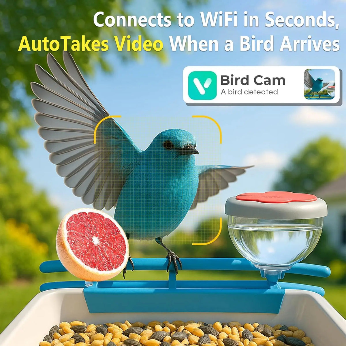 Smart Outdoor Bird Feeder with Camera & Solar Panel – App Controlled
