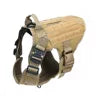 Dog Chest Harness & Leash Set with Lace Accent