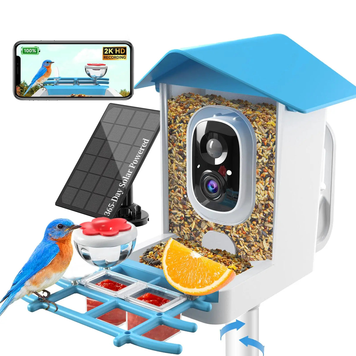Smart Outdoor Bird Feeder with Camera & Solar Panel – App Controlled