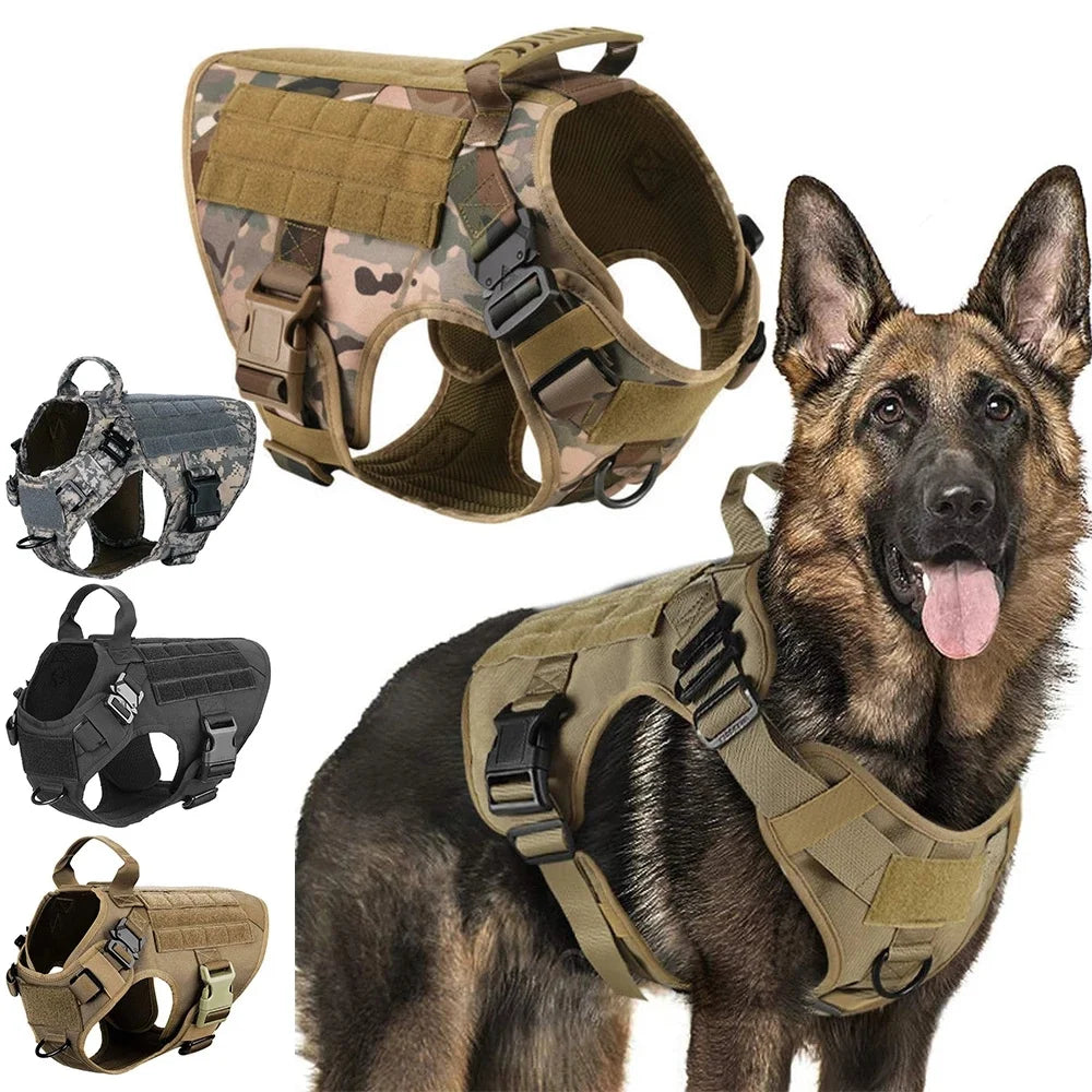 Dog Chest Harness & Leash Set with Lace Accent