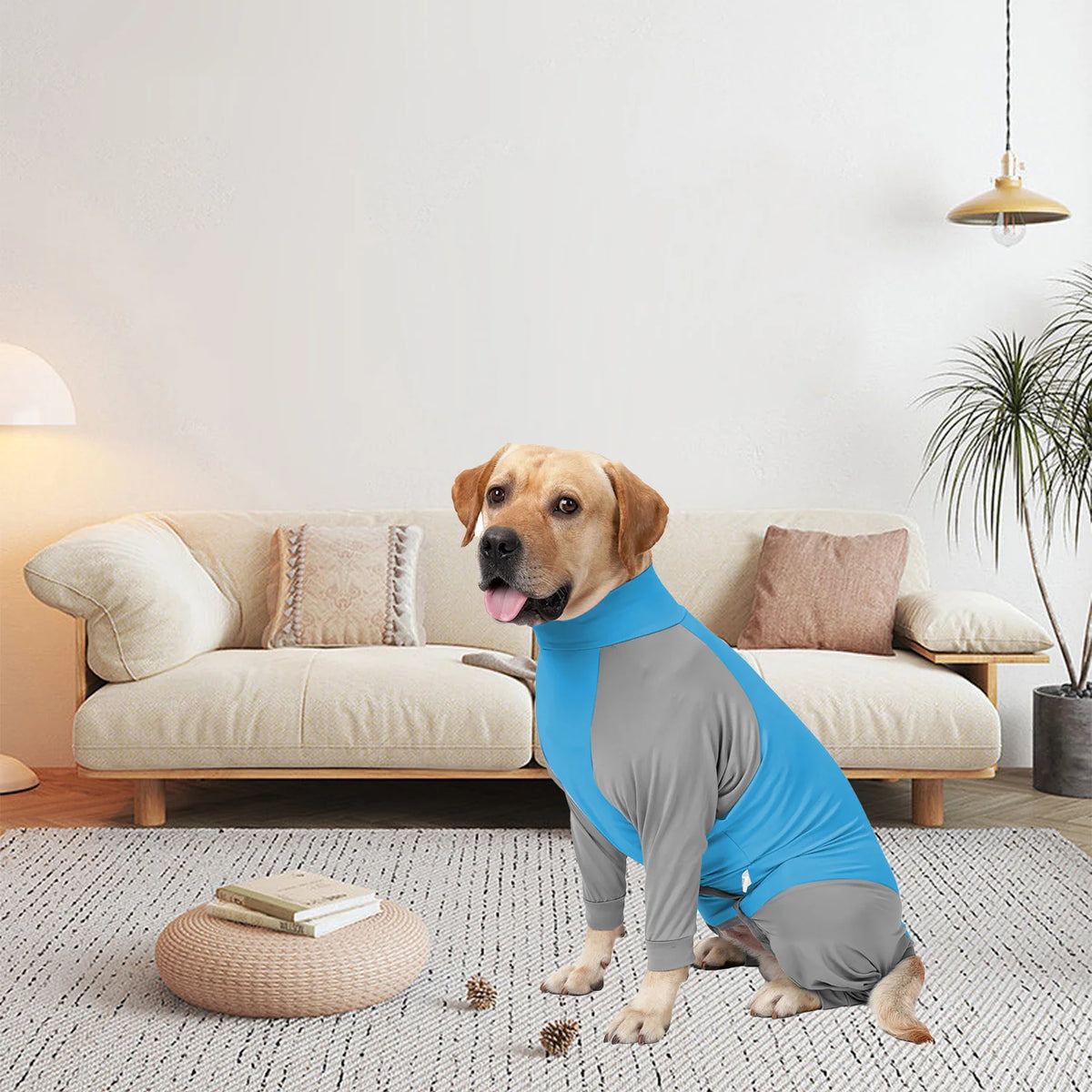 Ultra-Stretch Full-Body Dog Recovery Suit & Anti-Shedding Loungewear