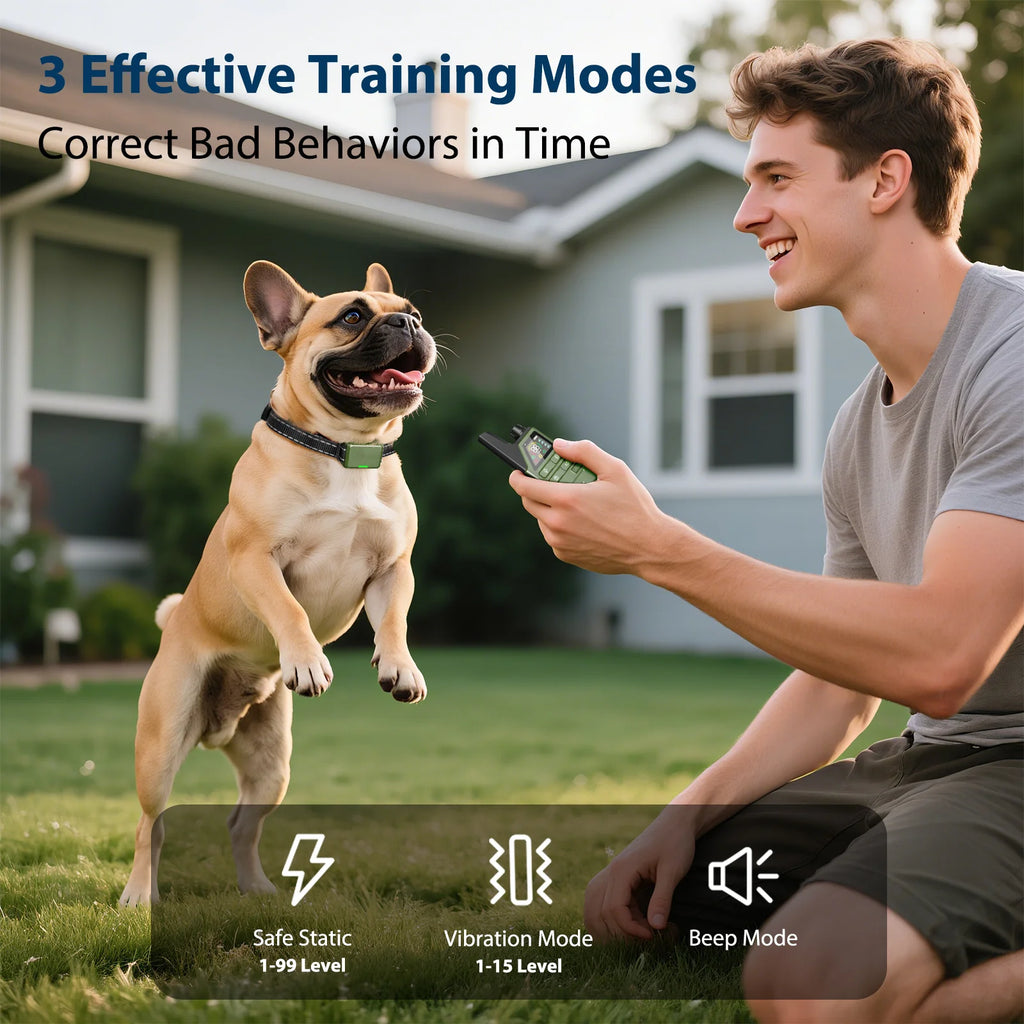 Dog training collar color-screen remote control