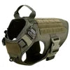 Dog Chest Harness & Leash Set with Lace Accent