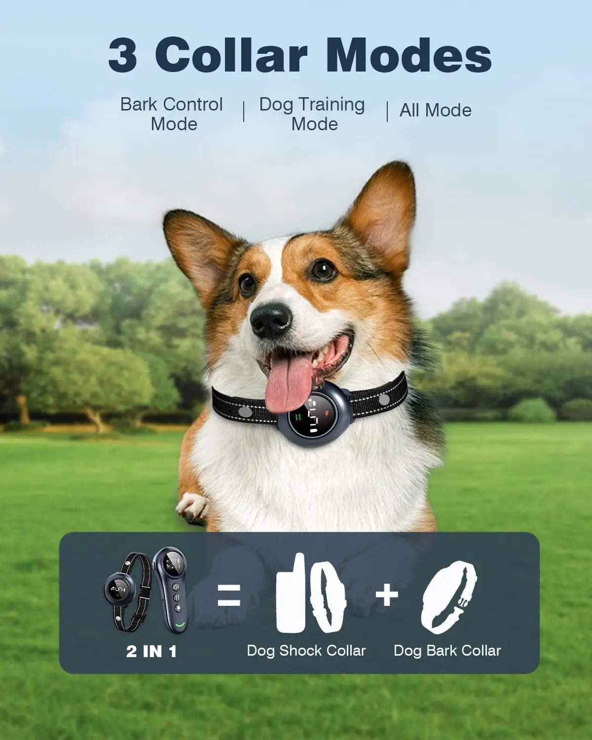 Anti-bark dog training collar receiver in use