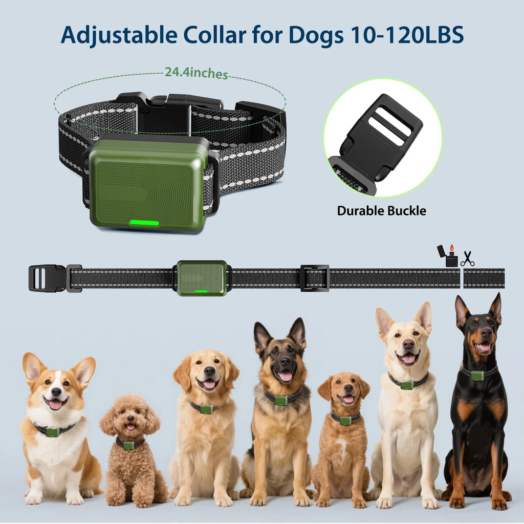 Dog training collar features overview