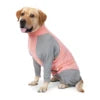Ultra-Stretch Full-Body Dog Recovery Suit & Anti-Shedding Loungewear
