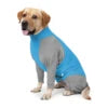 Ultra-Stretch Full-Body Dog Recovery Suit & Anti-Shedding Loungewear
