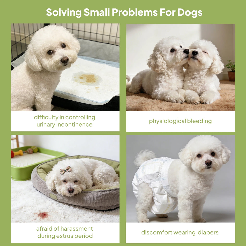 Ultra-Absorbent Leak-Proof Disposable Female Dog Diapers
