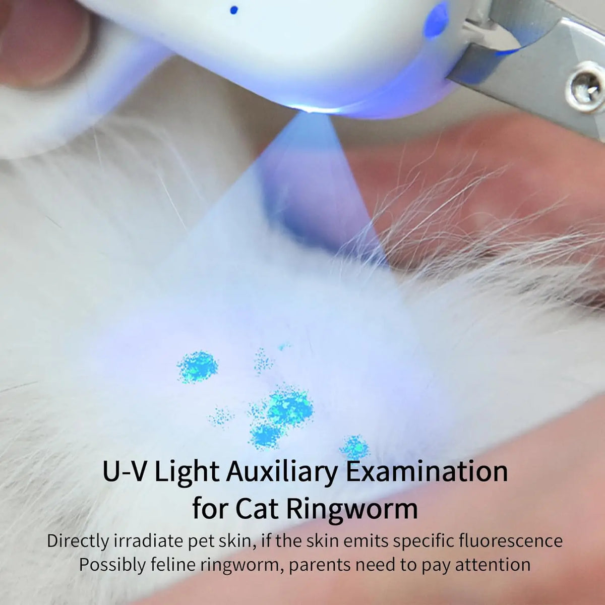 SafeTrim 2-in-1 Rechargeable Pet Nail Clipper with Bright LED Light