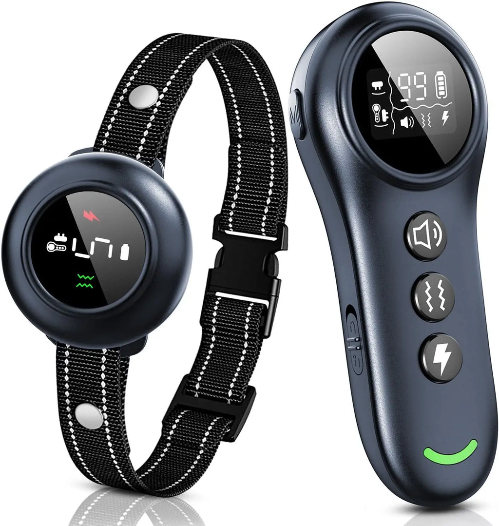 2-in-1 anti-bark dog training collar and remote, front view