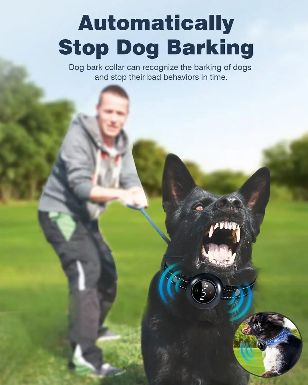 Dog training collar remote control