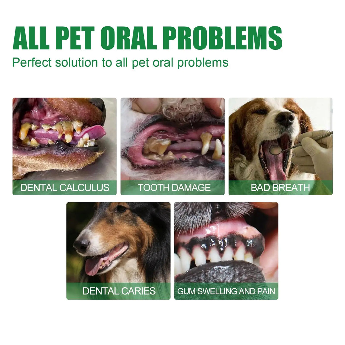 FreshPaws™ Pet Tooth Deodorizer & Breath Freshening Mouth Spray.