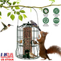Squirrel-Proof Heavy-Duty Metal Bird Feeder – 4 Feeding Ports for Songbirds - 🐾PetPulse 