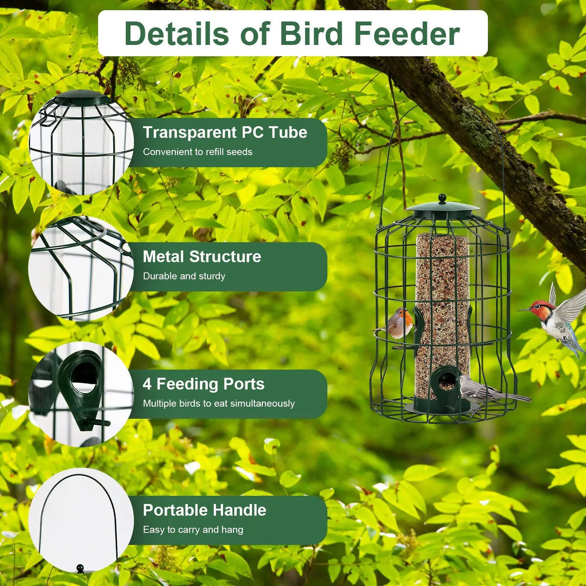 Squirrel-Proof Heavy-Duty Metal Bird Feeder – 4 Feeding Ports for Songbirds - 🐾PetPulse 