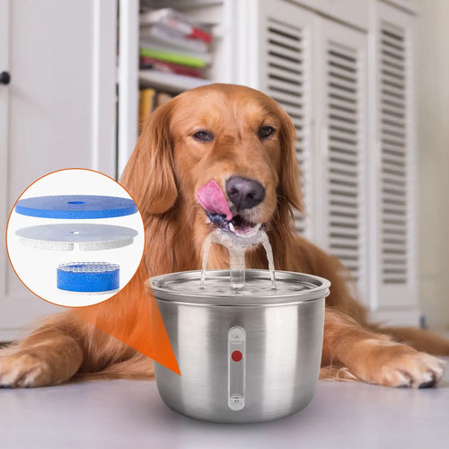Stainless Steel Pet Water Fountain with Odor-Filtering Circulation for Cats
